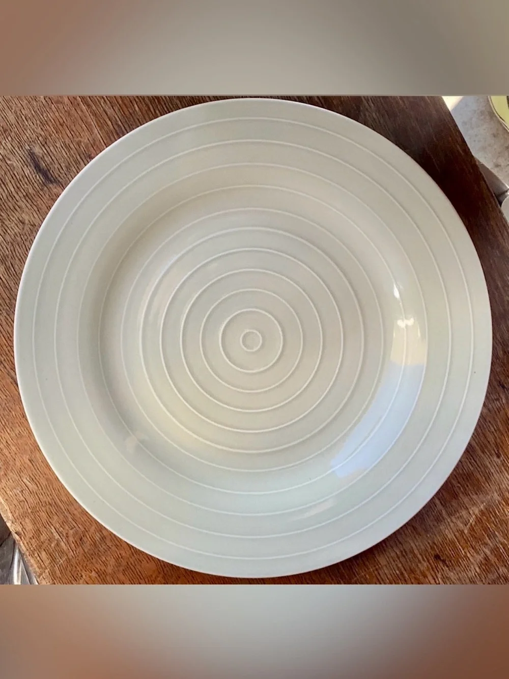 Anna Nilsson IKEA 365 Beige Taupe Concentric Ringed 12.75” Plate